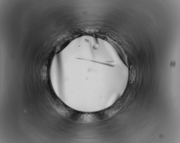 X0000099490704200806121352