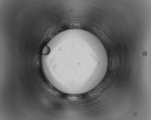 X0000099490706200806121352