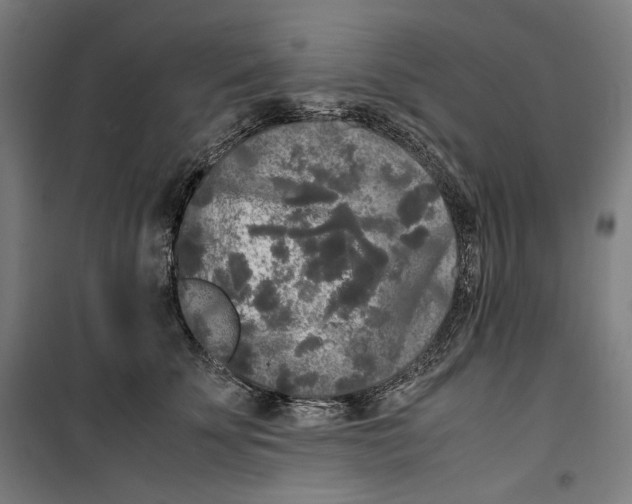 X0000099490707200806121352