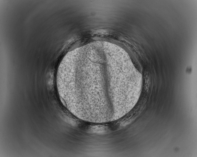 X0000099490708200806121352