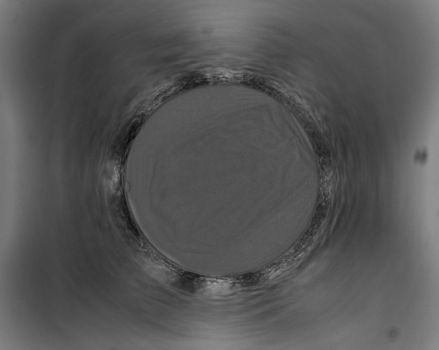 X0000099490709200806121352