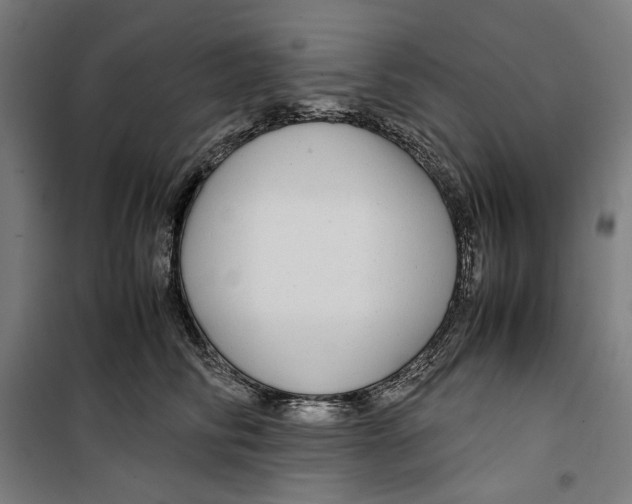 X0000099490710200806121352