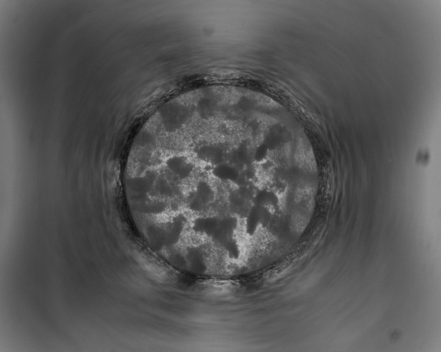 X0000099490711200806121352