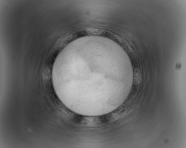 X0000099490713200806121352