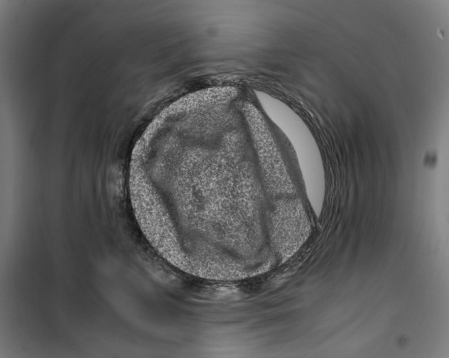 X0000099490715200806121352