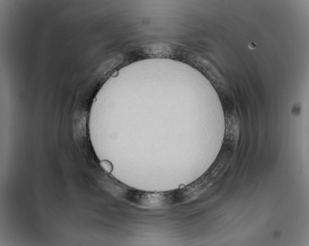 X0000099490717200806121352