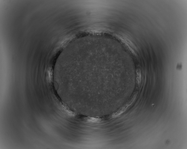 X0000099490718200806121352