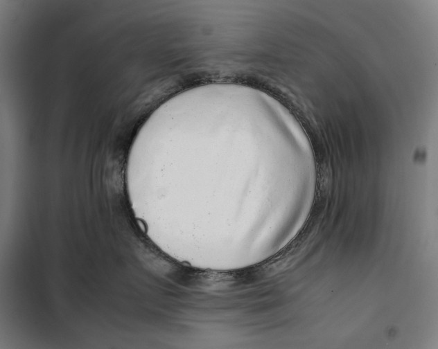 X0000099490719200806121352