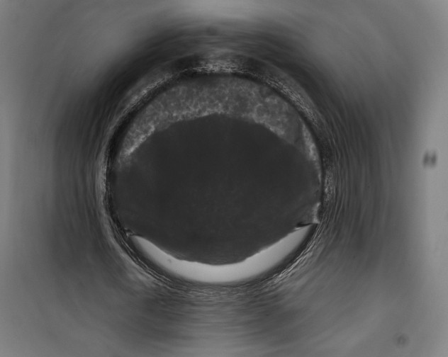 X0000099490722200806121351