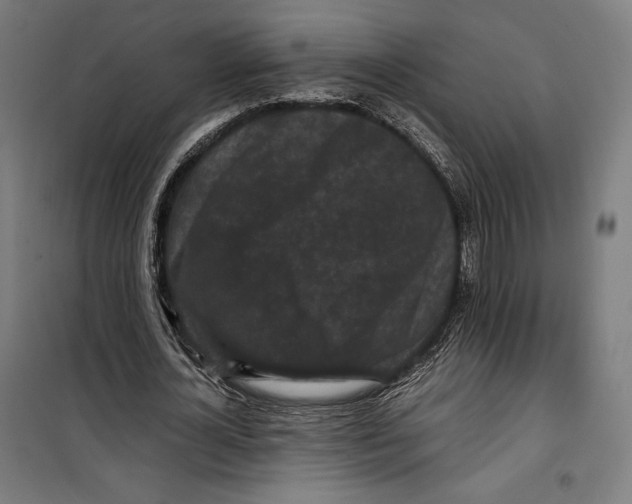 X0000099490724200806121351