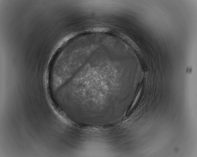 X0000099490726200806121351