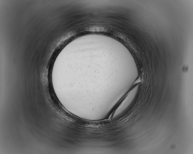 X0000099490727200806121351