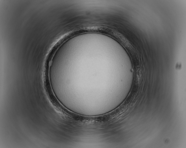 X0000099490728200806121351