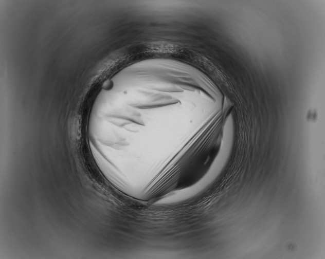 X0000099490731200806121351