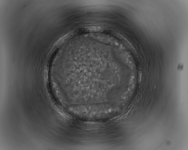 X0000099490733200806121351