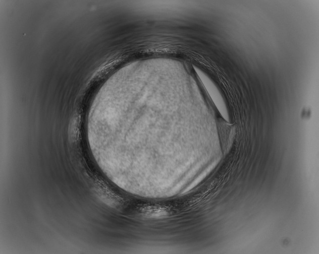 X0000099490735200806121352