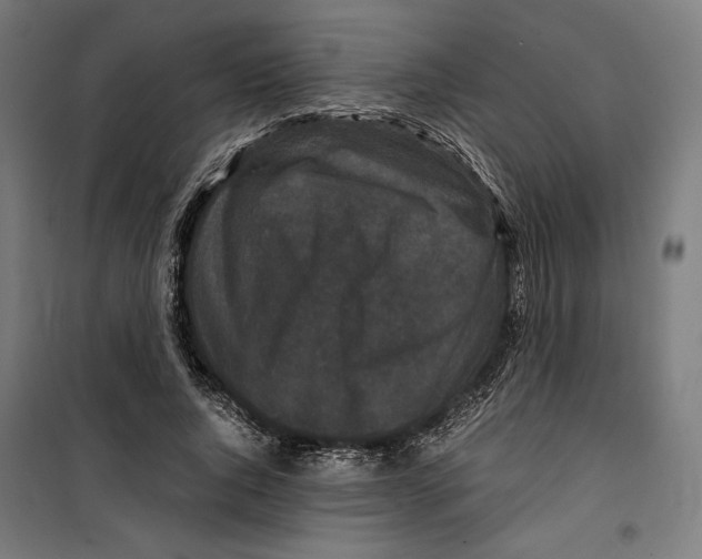 X0000099490736200806121352