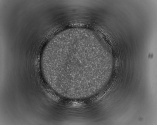 X0000099490737200806121352