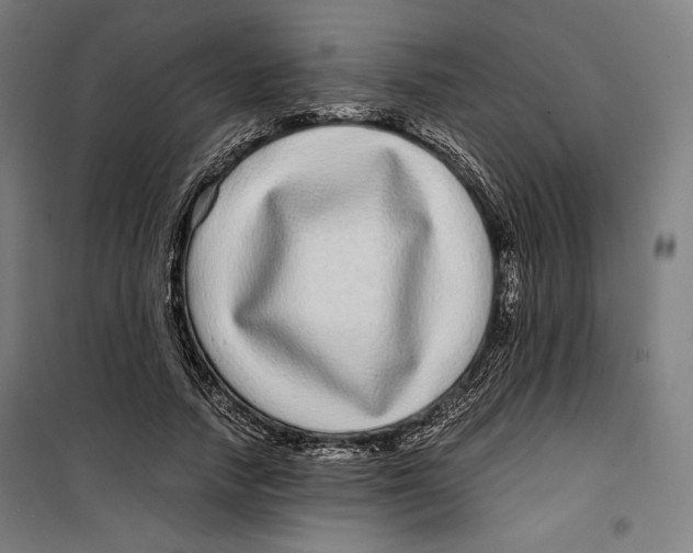 X0000099490738200806121352