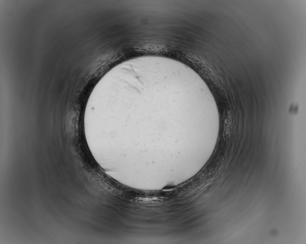 X0000099490739200806121352