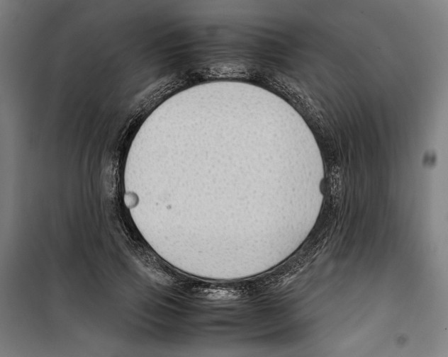 X0000099490741200806121352