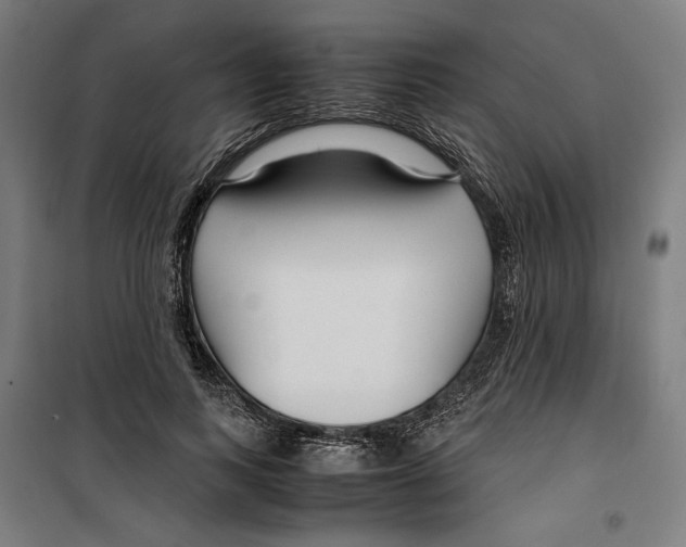 X0000099490743200806121352