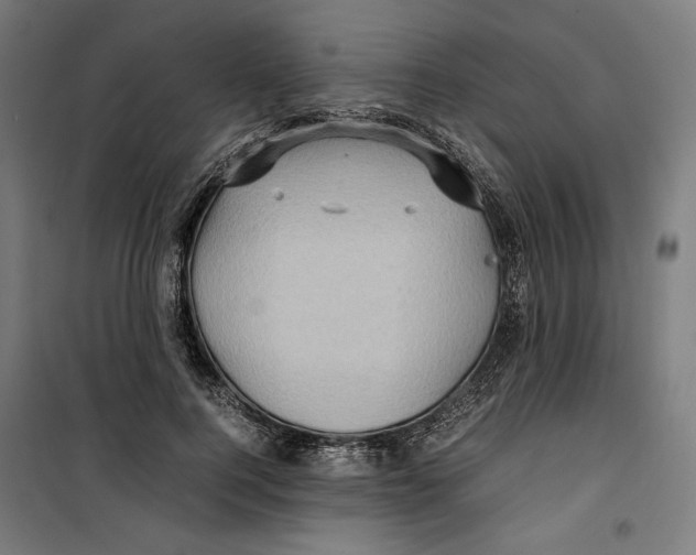 X0000099490744200806121352