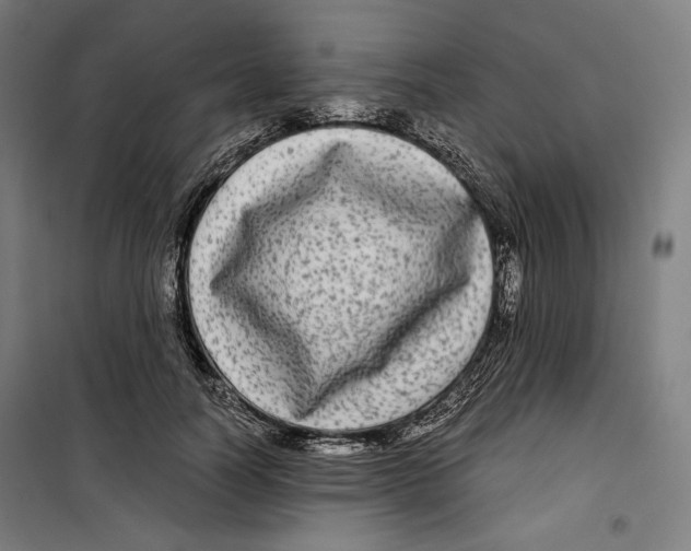 X0000099490746200806121352