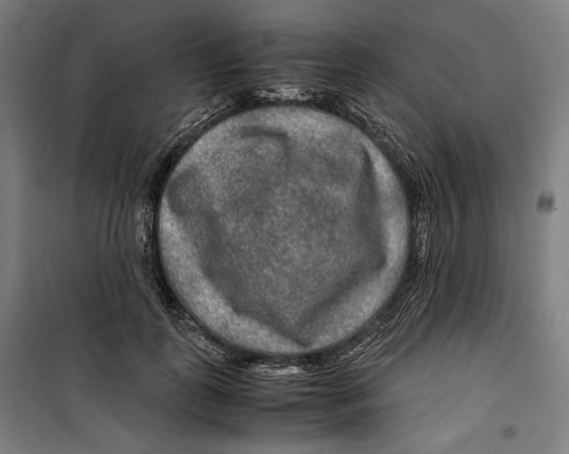 X0000099490747200806121352