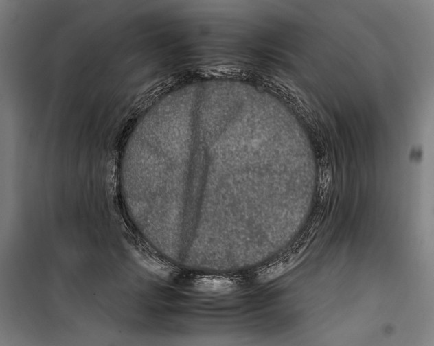 X0000099490749200806121352