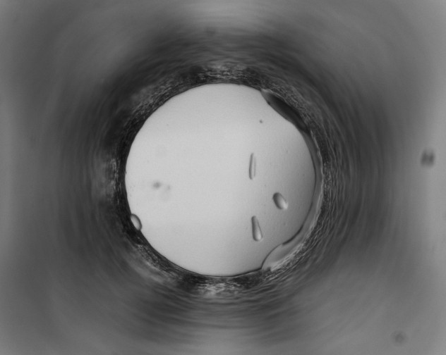 X0000099490752200806121352