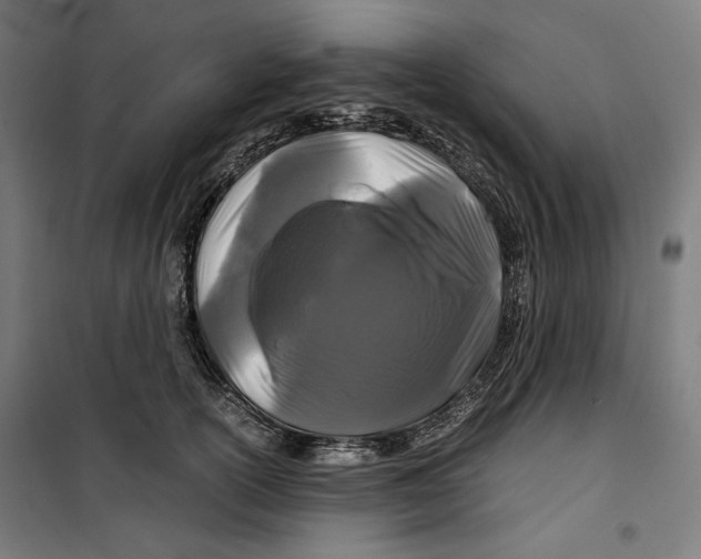 X0000099490754200806121352