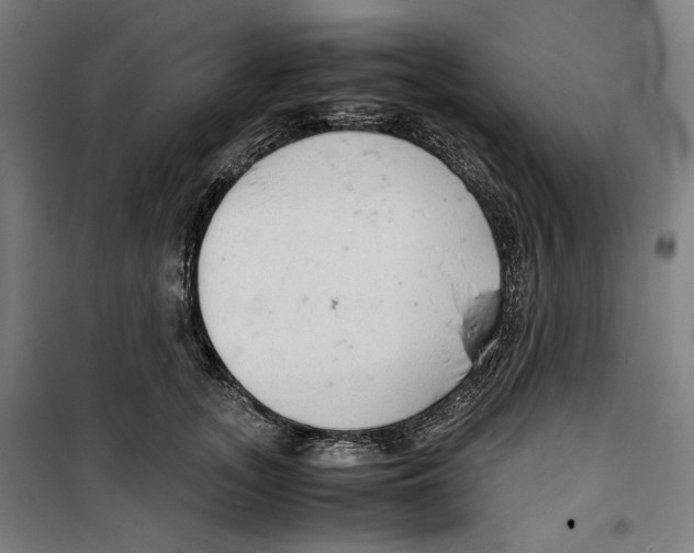 X0000099490755200806121352