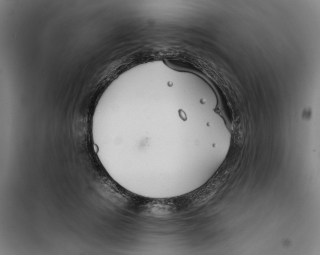 X0000099490756200806121352