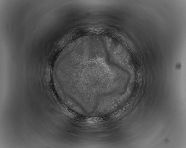 X0000099490757200806121352