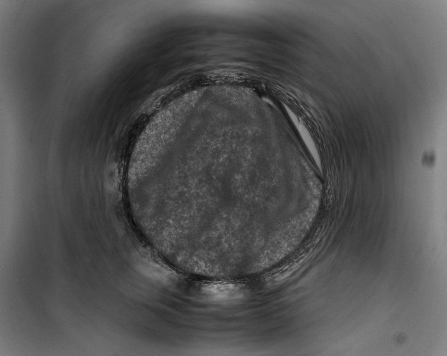 X0000099490759200806121352