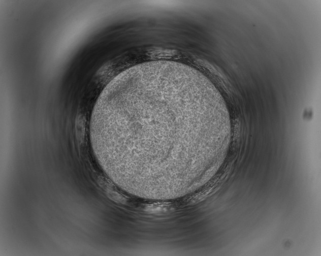 X0000099490761200806121352