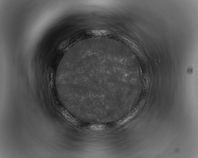 X0000099490762200806121352