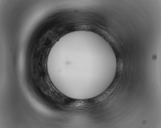 X0000099490764200806121352