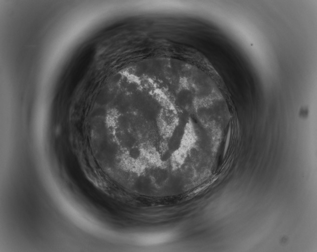 X0000099490765200806121352