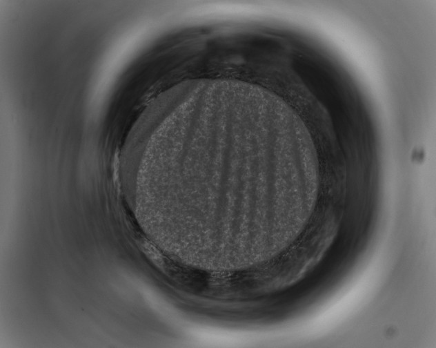 X0000099490766200806121352