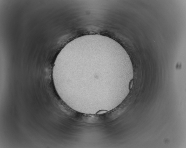 X0000099490768200806121352