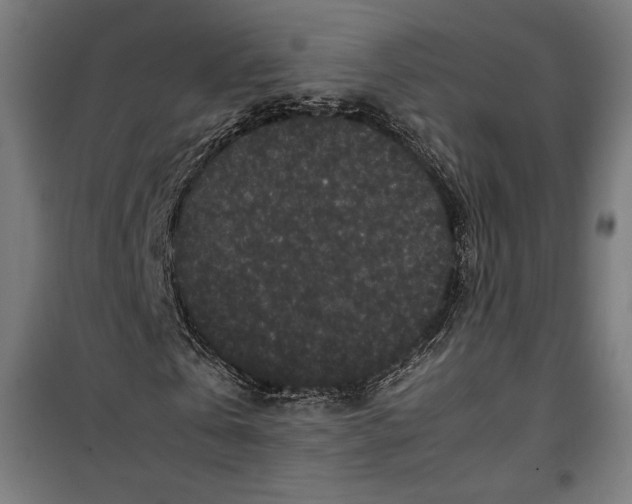 X0000099490769200806121351