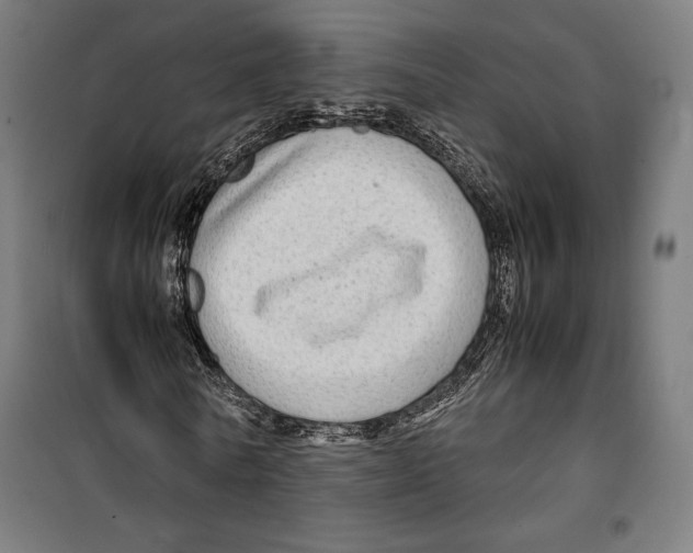 X0000099490770200806121351