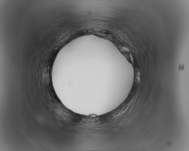 X0000099490771200806121351