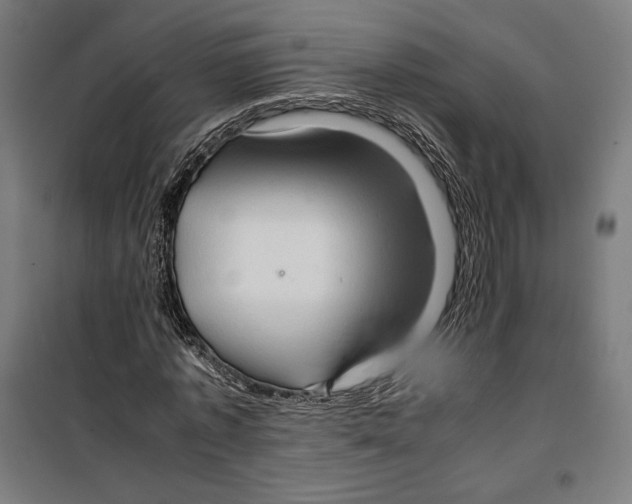 X0000099490773200806121351