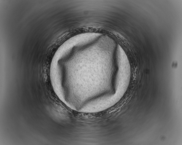 X0000099490774200806121351