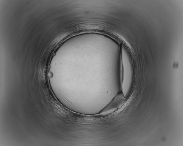 X0000099490777200806121351