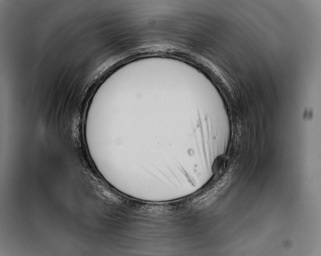 X0000099490778200806121351