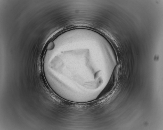 X0000099490782200806121351